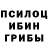 Псилоцибиновые грибы прущие грибы Andre Frazier