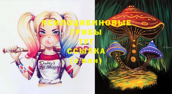 гашик Осинники