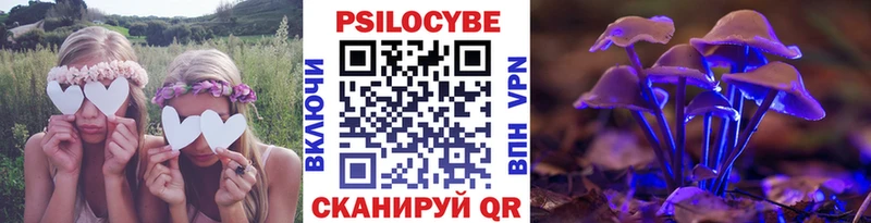 Галлюциногенные грибы MAGIC MUSHROOMS Каргат